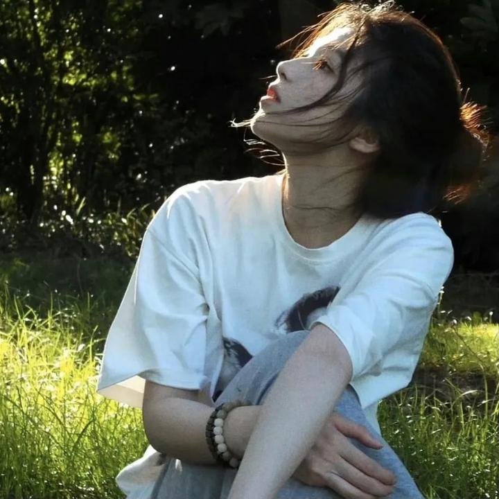 熊猫计划