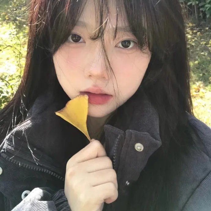 双龙会