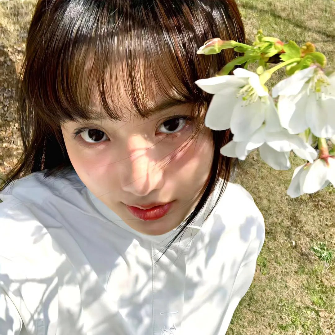 神龙剑侠美人恩